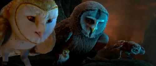    / Legend of the Guardians: The Owls of GaHoole (2010) HDRip |   CAMRip