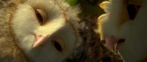    / Legend of the Guardians: The Owls of GaHoole (2010) HDRip |   CAMRip